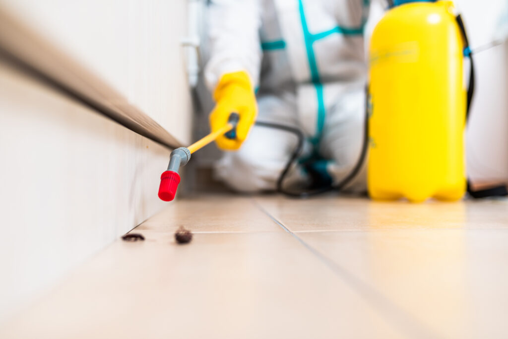 Huntsville Cockroach Experts
