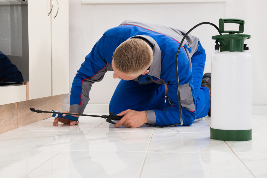 Huntsville Ant Control Xperts