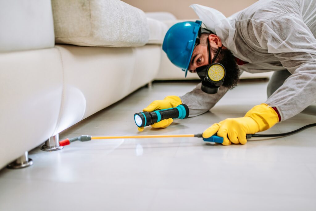 Huntsville Termite Control