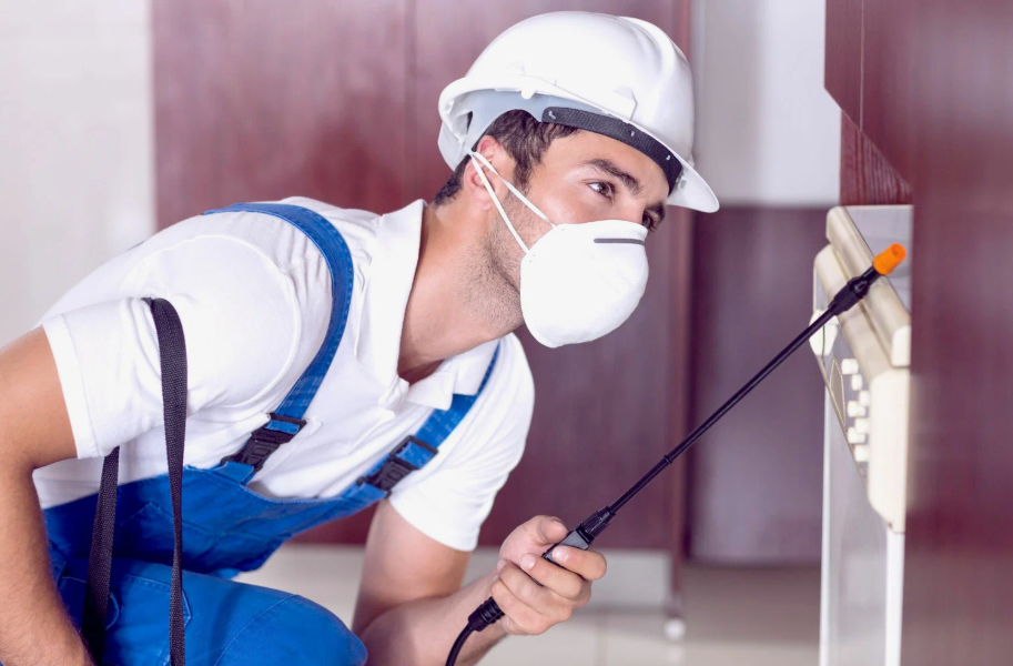 Huntsville local pest services