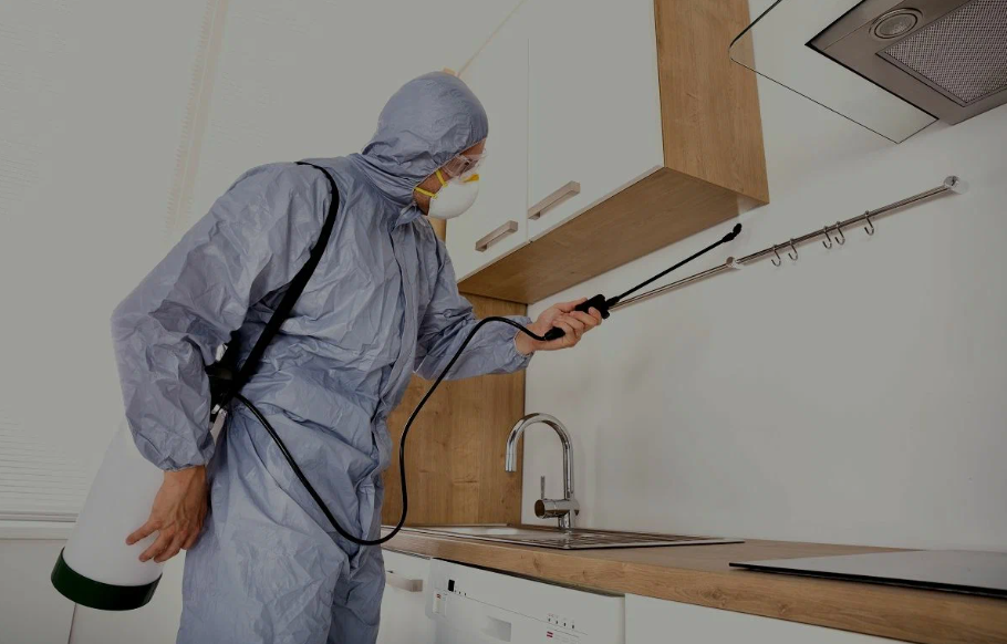Huntsville pest managment