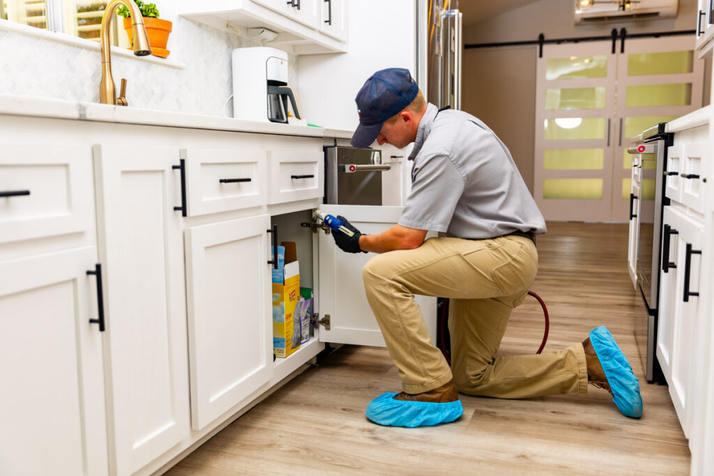 Huntsville xpert pest management